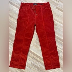 Brand New Judy Blue Corduroy